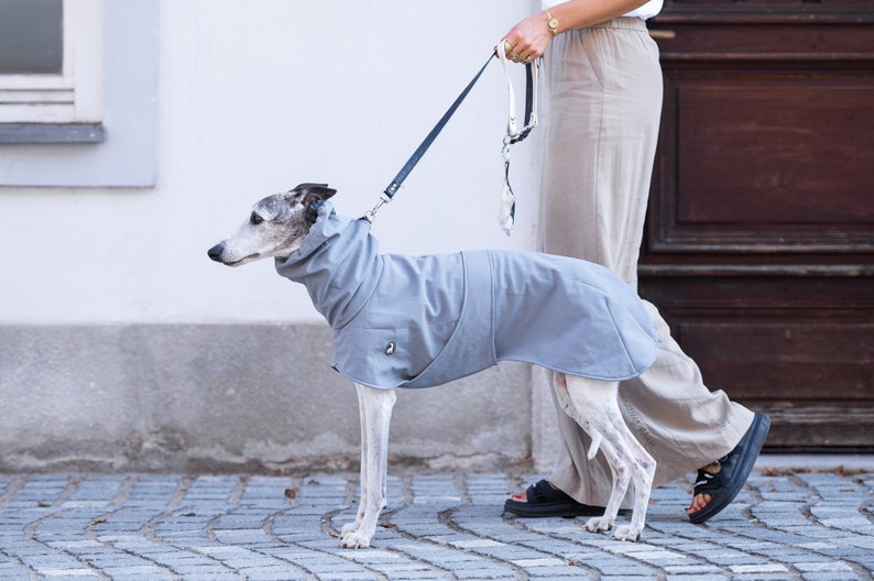 Custom Sighthound Raincoat Waterproof Walking Gear High Protective Collar Design Leash Opening Feature Harness Ready Construction Premium Softshell Material Weather Protection System Reflective Safety Elements Full Chest Coverage Breathable