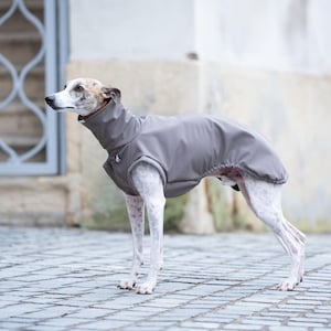 Abrigo impermeable para perros para el clima invernal Equipo para exteriores Ropa para mascotas para protección Iggy Sweater Whippet Chaqueta impermeable Diseño reflectante Perro