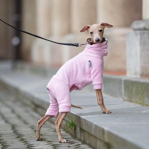 Puppy Iggy jumpsuit Italian greyhound onesie iggy sweater whippet puppy pajama iggy jumper whippet jumpsuit italian greyhound clothing Cozy
