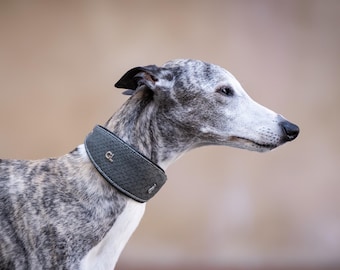 Leather Collars&Leashes