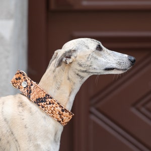 Dog Collar Personalized Whippet Martingale Collar Pull Stop Galgo Collar Iggy Dog Collar Custom Gift for Dog Accessories Pet Supplies Set