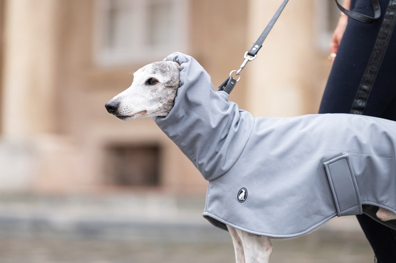 Raincoat Shell, greyhound coats, whippet coats, iggy coats,italiangreyhound coats image 1