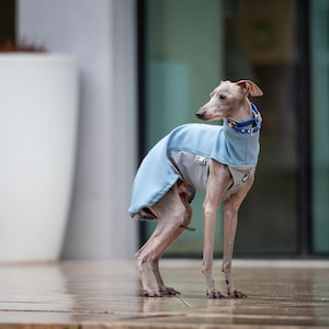 イギー用防水ウィペットジャンパー、グレイハウンド用スウェットシャツ、ガルゴ犬用セータープルオーバー、一年中天候保護服ギフト