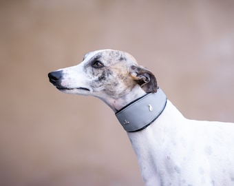 Leather Collar Grey, Iggy collar, Whippet collar, Galgo collar, Saluki collar, Greyhound collar,Italiangreyhound collar