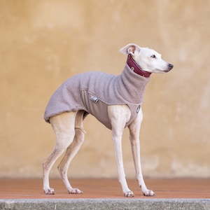 Iggy warm wool sweater whippet jumper Italian greyhound clothing iggy jumper greyhound warm vest iggy pullover galgo gift for dogs  WOOLLY