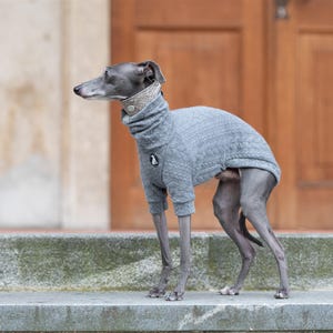 Pull pour chien chaud et doux en tricot torsadé pour pull whippet personnalisé Iggy Jumper Pull doux et extensible pour animal de compagnie, assorti à un être humain