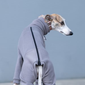 onesi Italienisches Windspiel Fell warmer iggy Fell Overall Whippet weicher insgesamt iggy Pyjama Whippet Pullover Iggy Pullover Windhund Overall SOFT