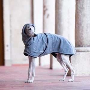 Warm Fleece Lined Sighthound Coat Winter Dog Apparel Waterproof Soft Shell Fabric Premium Cold Protection Custom Fit Greyhound Jacket Whippet Winter Clothing Covered Chest Design Inner Belt Security High Collar Feature Leash Access Opening