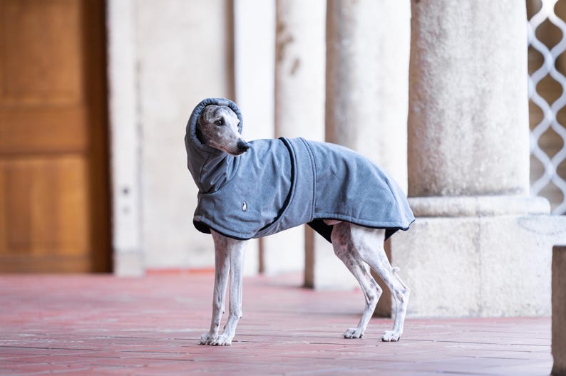 Warm Fleece Lined Sighthound Coat Winter Dog Apparel Waterproof Soft Shell Fabric Premium Cold Protection Custom Fit Greyhound Jacket Whippet Winter Clothing Covered Chest Design Inner Belt Security High Collar Feature Leash Access Opening