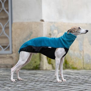 Whippet Sweatshirt Iggy Sweatshirt Galgo Sweater Greyhound Pullover Whippet Tshirt Custom Fit Sighthound Design Stretchy Exterior Layer Soft Furry Interior Deep Chest Protection Reflective Elements Size Range XXS XXXL Warm Weather