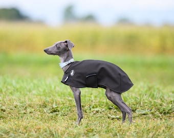 Jacket Shell Puppy