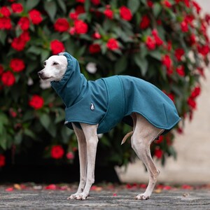 Pu&ograve; includere: Un cane di piccola taglia dal manto chiaro e dalla corporatura snella indossa un cappotto con cappuccio color verde acqua. Il capo presenta un collo alto, un cappuccio aderente e un piccolo emblema bianco a forma di pinguino sul fianco.