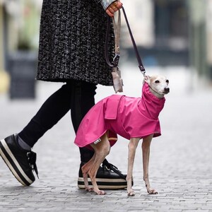 Pu&ograve; includere: Un impermeabile per cani rosa acceso con colletto alto e una piccola tasca rettangolare sul lato. Il cappotto &egrave; indossato da un cane snello di colore chiaro in piedi su un sentiero acciottolato, attaccato a un guinzaglio scuro tenuto da una persona.