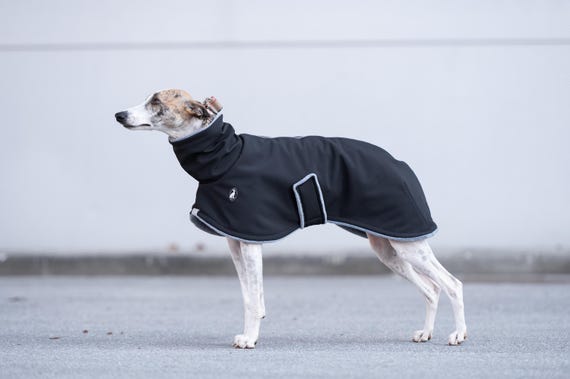 Whippet Winter Coat Double Layer Fleece Lined Waterproof Jacket Windproof Protection Reflective Wear Breathable Fabric Luxury Pet Clothing