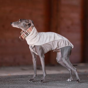 Peut inclure: Un chien gris portant un manteau beige doublé de polaire avec un col montant et un collier à carreaux beige, rouge et noir. Le manteau présente un tissu lisse de couleur claire sur le dos et une matière polaire texturée sur le cou et la poitrine.