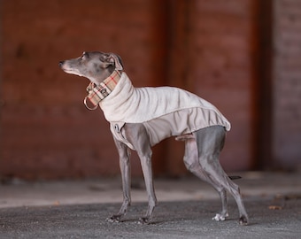 Sweatshirt Cozy