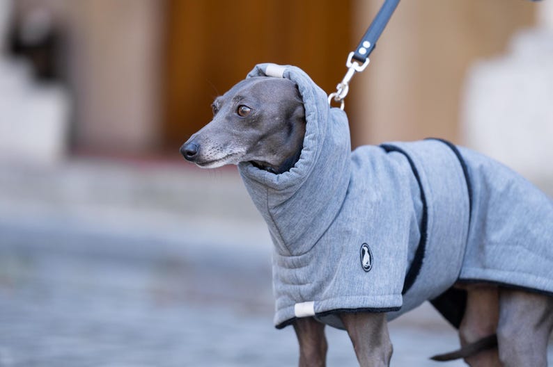 May include: A grey dog coat with a high collar and a black leash attachment point. The garment features a textured heather grey fabric, a small circular logo patch on the side, and black trim along the edges. The coat covers the torso and neck.