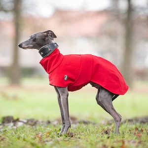 May include: A grey Italian Greyhound dog wearing a bright red, high-neck dog coat with a black leather collar. The coat features a small, circular emblem on the side and covers the torso, extending down the back with a smooth, solid fabric finish.