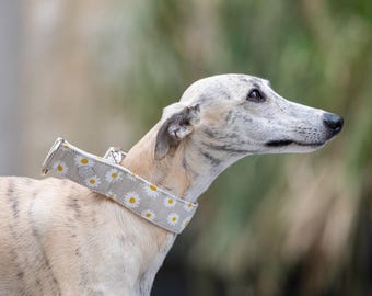 Daisies Martingale Collar