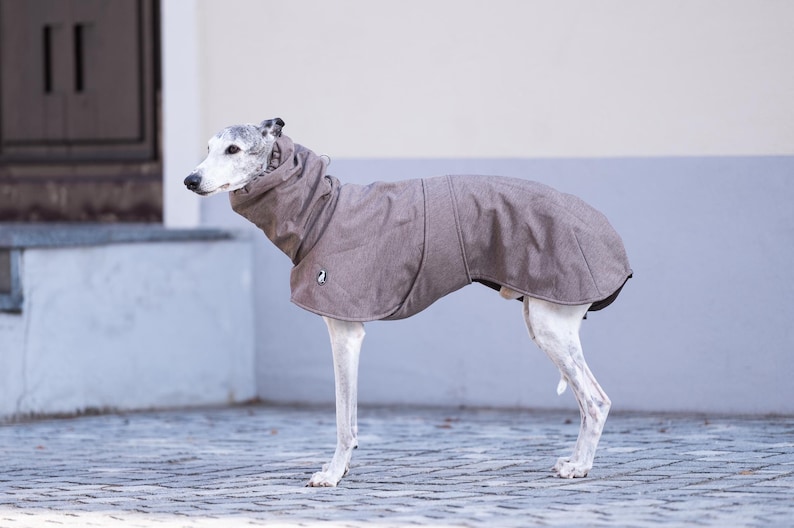 Pu&ograve; includere: Un cappotto per cani color grigio-marrone con collo alto e una piccola toppa circolare con logo sul lato. Il capo presenta un design strutturato che copre la schiena e il petto, realizzato per una corporatura canina snella e liscia.