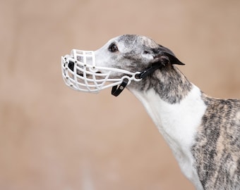 Museruola per Whippet a cestello, attrezzatura di sicurezza per corse, leggera e traspirante, ideale per l'addestramento al coursing. Museruola morbida in PVC per Whippet.
