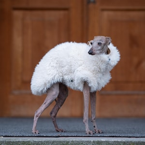 Whippet Galgo Iggy Vest Sighthound Specific Clothing Faux Fur Winter Coat Full Length Zipper Design Protective Flap System Small Dog Outerwear Luxury Pet Apparel Cold Weather Protection Reflective Safety Elements Multiple Size Options