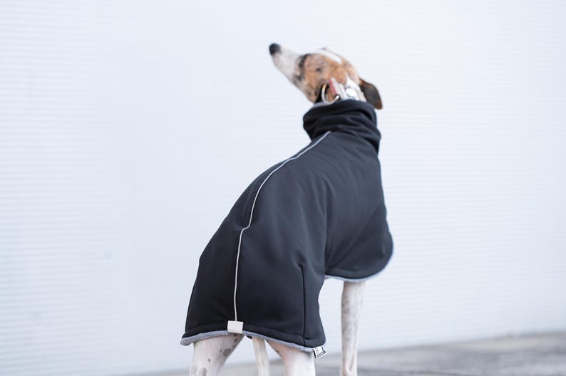 Luxury Pet Clothing Premium Whippet Coat Double Layer Design Fleece Lined Comfort Waterproof Jacket Construction Windproof Protection Technology Reflective Safety Elements Winter Walking Essential Cold Weather Protection Quality Fabric