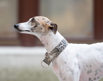 Gray Python Adjustable Collar