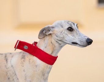 Red Martingale Collar