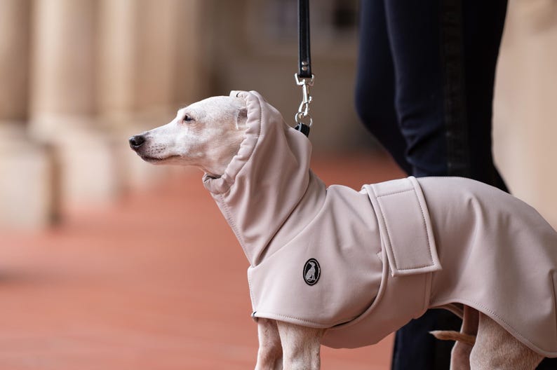 Italian Greyhound Wear Sighthound Raincoat Waterproof Walking Gear High Collar with Leash Opening Harness Ready Construction Weather Shield Technology Reflective Elements Full Coverage Style Whippet Winter Weather Essential Custom