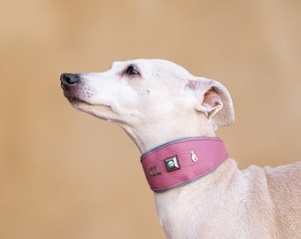 Leather SET Collar Stone with matching leash, Iggy collar, Italiangreyhound collar, saluki collar, galgo collar