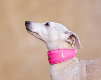 Hot Wide Collar