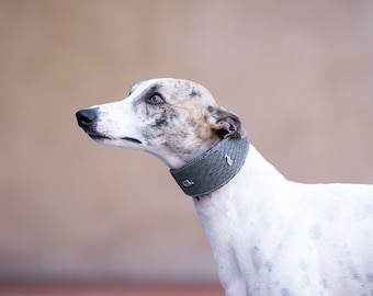Gray Croc Wide Collar