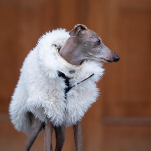 Winter Protection Vest Zipper Design Sighthound Apparel Faux Fur Coat Reflective Safety Elements Protective Flaps Feature Zipper Garage Technology Cold Weather Solution Dog Outerwear Collection Multiple Sizes Available Custom Fit Options