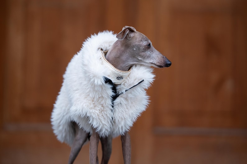 Winter Protection Vest Zipper Design Sighthound Apparel Faux Fur Coat Reflective Safety Elements Protective Flaps Feature Zipper Garage Technology Cold Weather Solution Dog Outerwear Collection Multiple Sizes Available Custom Fit Options