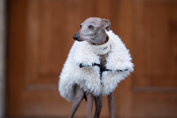 Iggy Winter Coat Faux Fur Vest Whippet Luxury Dog Wear Galgo Gillet Zipper Design Small Dog Soft Pullover Sighthound Apparel For Puppy Gift