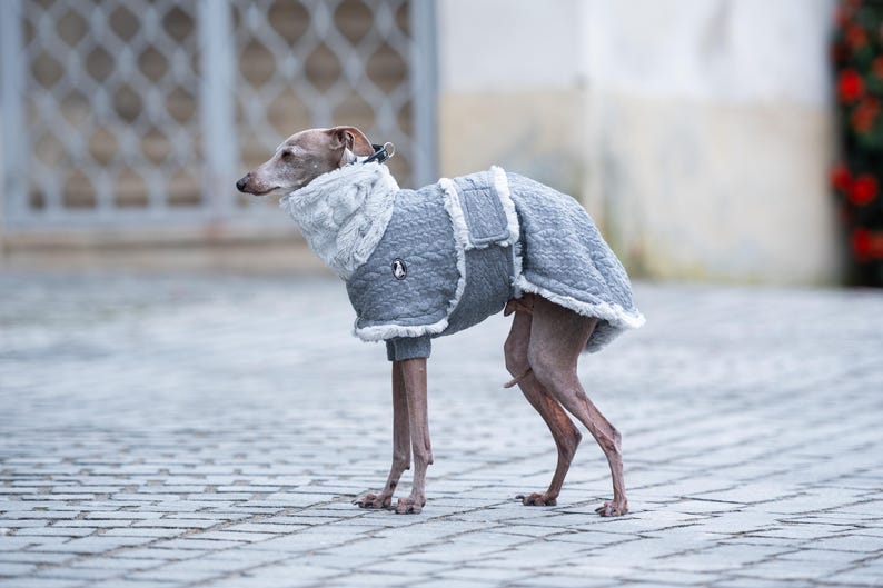 Zimowy płaszcz Iggy Whippet Cable Knit Dog Wear Sighthound Breed Faux Fur Warm Clothing Dopasowany styl Niestandardowy haft Prezent dla miłośników szczeniąt zdjęcie 4