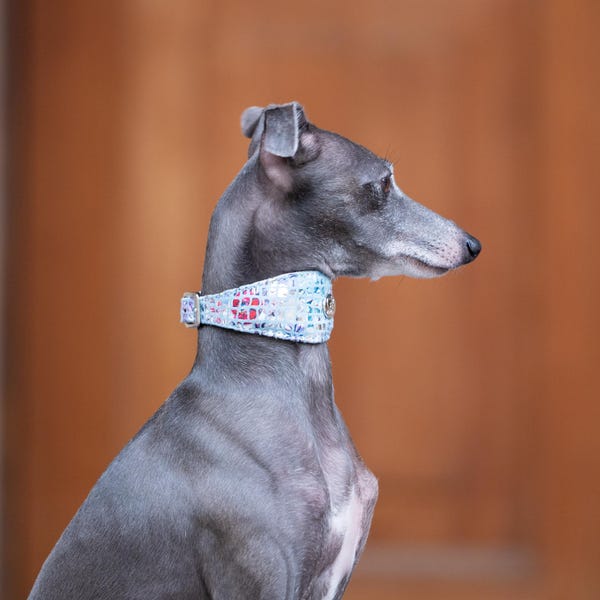 leather custum dog collar whippet leather collar italian greyhound collar puppy dog collar iggy leather collar galgo dog lover gift for dog