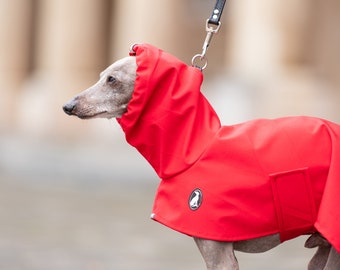 Raincoat Shell Light DOUBLE BELTS, greyhound coats, whippet coats, iggy coats,italiangreyhound coats