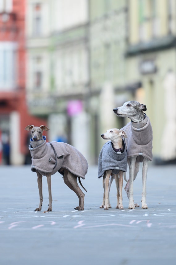 Dog Winter Coats Whippet Winter Coat Iggy Warm Coat Italian