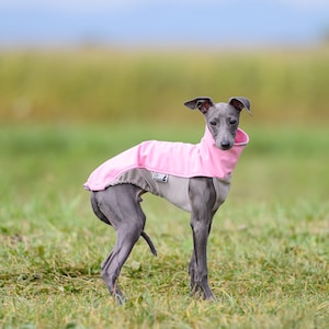 Iggy puppy sweater whippet puppy jumper Italian greyhound clothing puppy iggy jumper whippet puppy pullover iggy gift for dogs SPORT SHELL