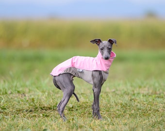 Sport Shell Puppy
