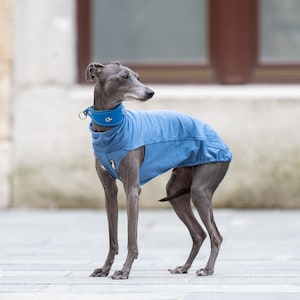 以下が含まれることがあります： 薄い青色の犬用ジャケットとカラーを着用した、細身の灰色の犬。犬は舗装された表面に立っており、背景には建物の窓がぼやけています。ジャケットにはジッパーが付いており、犬の体を覆っています。