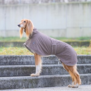 May include: A tan and white Saluki dog standing in profile, wearing a solid brown dog coat with a high collar, a light-colored trim along the edges, and a small rectangular patch on the side, secured with a strap around the midsection.