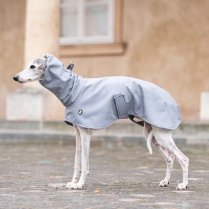 Waterproof Windproof Sighthound Coat with Detachable Exchangeable BeltsThermal Protection LayerFitted DesignWeather ShieldSecure Neck CoverageMultiple Sizes XXS-XXXLWarm Comfort LayerQuality ConstructionProtective Outdoor Wear