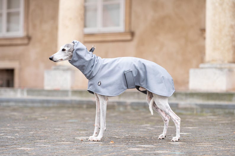 Waterproof Windproof Sighthound Coat with Detachable Exchangeable BeltsThermal Protection LayerFitted DesignWeather ShieldSecure Neck CoverageMultiple Sizes XXS-XXXLWarm Comfort LayerQuality ConstructionProtective Outdoor Wear