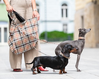 Martingale (Pull-stop) or Adjustable Collar Brown Tartan