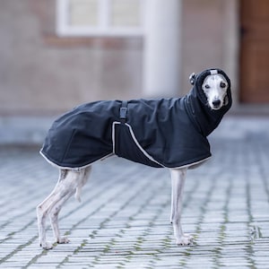 Op de afbeelding: Een witte hond die een zwarte hondenjas met capuchon draagt met een grijze bies. De hond staat op een grijs betegeld oppervlak.