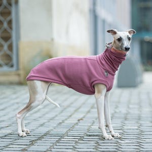 Suéter para cachorro Sighthound para Whippet, pulôver de inverno para Greyhound, suéter para Iggy, roupa quente para Galgo, roupa macia lavável à máquina