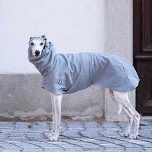 Pu&ograve; includere: Un cappotto per cani grigio con colletto alto indossato da un whippet. Il cappotto presenta una struttura in tessuto liscio a tinta unita che copre la schiena e il petto, con un piccolo logo circolare visibile sul lato del capo.
